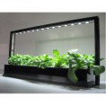 PARUS Linear-Spot-LED GREENWALL 60cm osvětlení živých stěn  